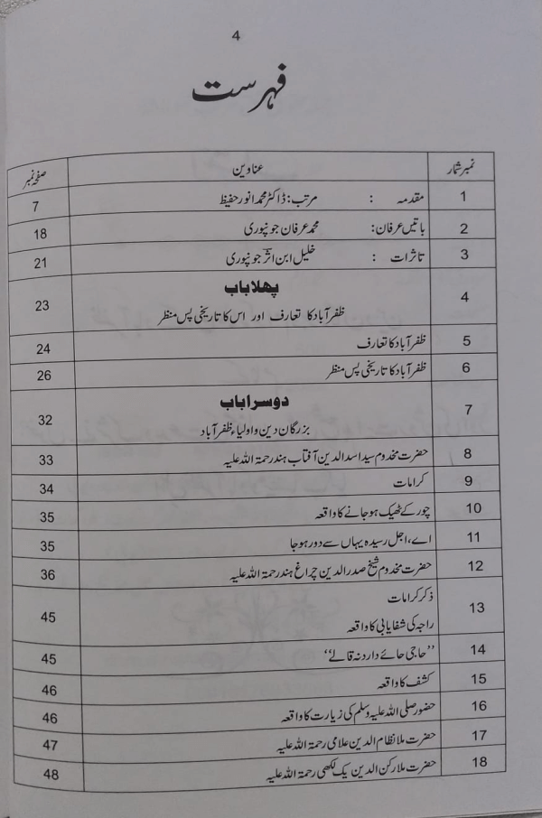 Zafarabad ke Nuqoos-e-Pareena  ظفرآباد کے نقوش پارینہ