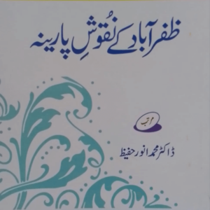 Zafarabad ke Nuqoos-e-Pareena  ظفرآباد کے نقوش پارینہ