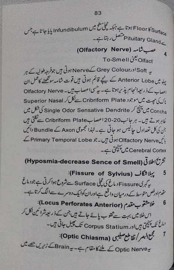 Tashreeh-ul-Aasab  تشریح الاعصاب